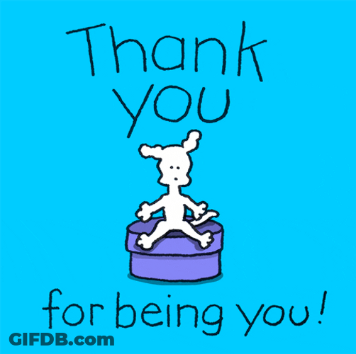 Chippy The Dog Thankful For You GIF