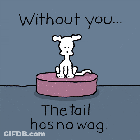 Chippy The Dog Without You Tail No Wag GIF