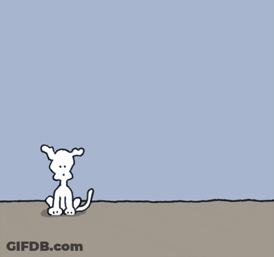 Chippy The Dog. Your Rock. You're Simply The Best GIF