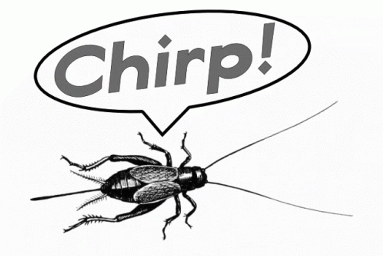 Chirp Monochromatic Crickets GIF