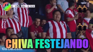 Chiva Celebrating In Stadium GIF
