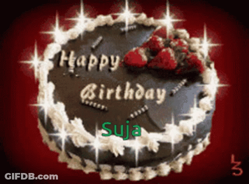 Chocolate Birthday Cake With Strawberries And Suja GIF