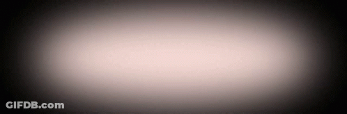 Chocolate Cake Slice On Plate GIF
