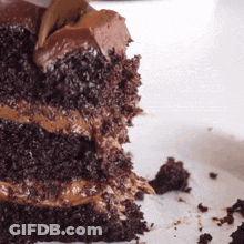 Chocolate Cake Slice With Bite GIF