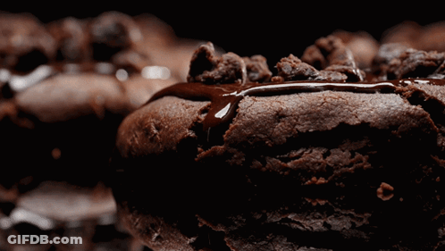 Chocolate Cookie With Chocolate Sauce GIF