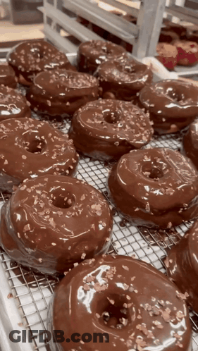 Chocolate Covered Donuts On Wire Rack GIF