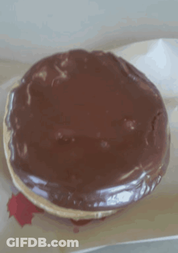 Chocolate Covered Doughnut GIF