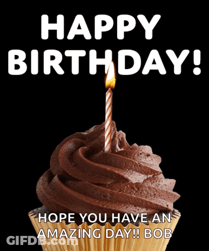 Chocolate Cupcake With Lit Candle Saying Happy Birthday Hope You Have An Amazing Day Bob GIF