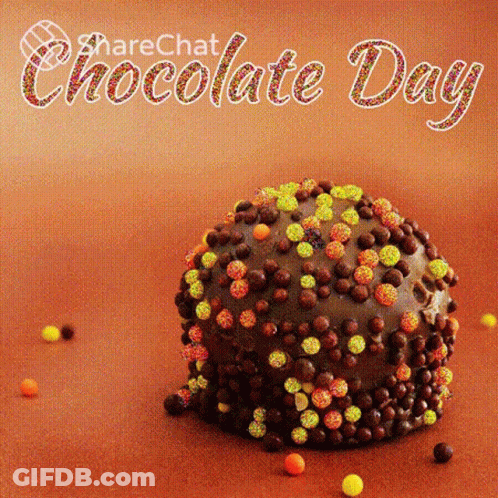 Chocolate Day Cake With Sprinkles GIF