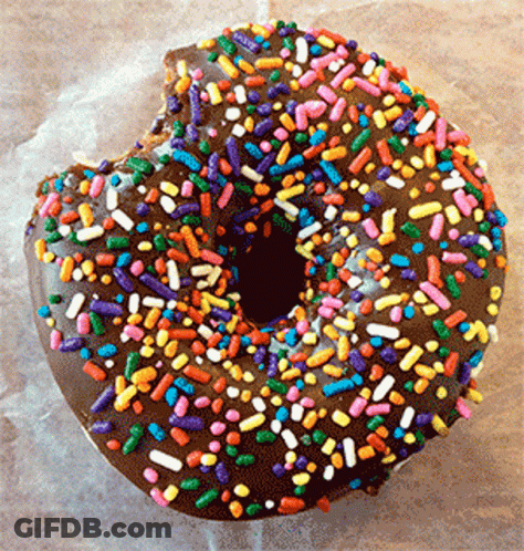 Chocolate Donut With Rainbow Sprinkles GIF