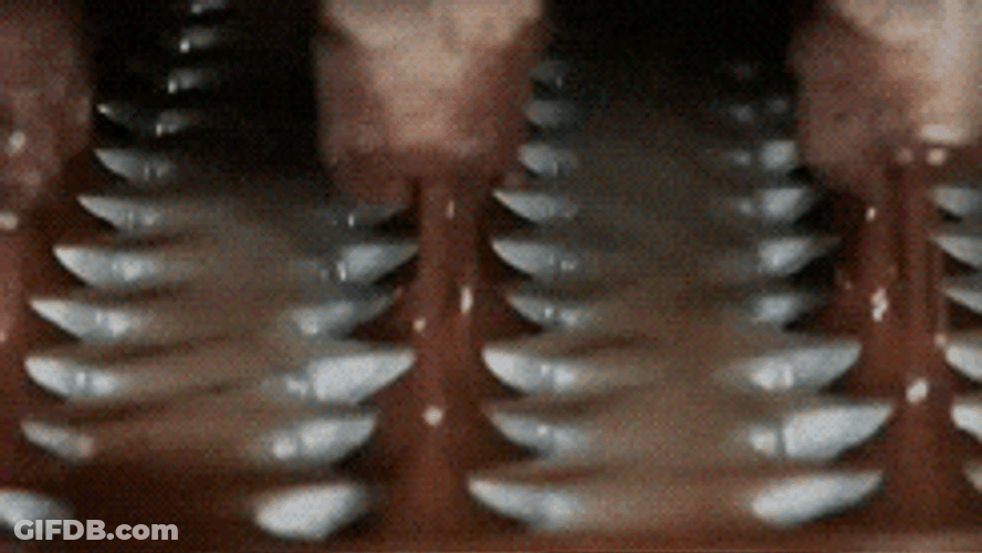 Chocolate Factory High Technology Processing GIF