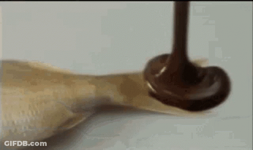 Chocolate Is Being Poured On A Piece Of Chicken On A Table . GIF