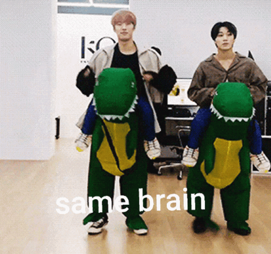 Choi San Song Mingi Same Brain Meme GIF