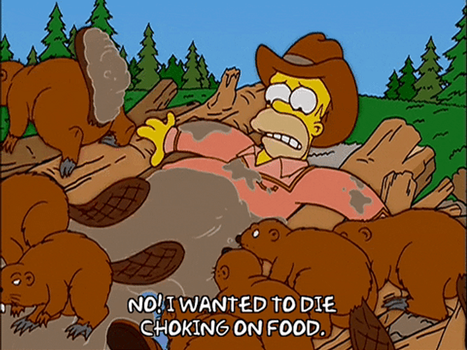 Choking Food Homer Meme GIF