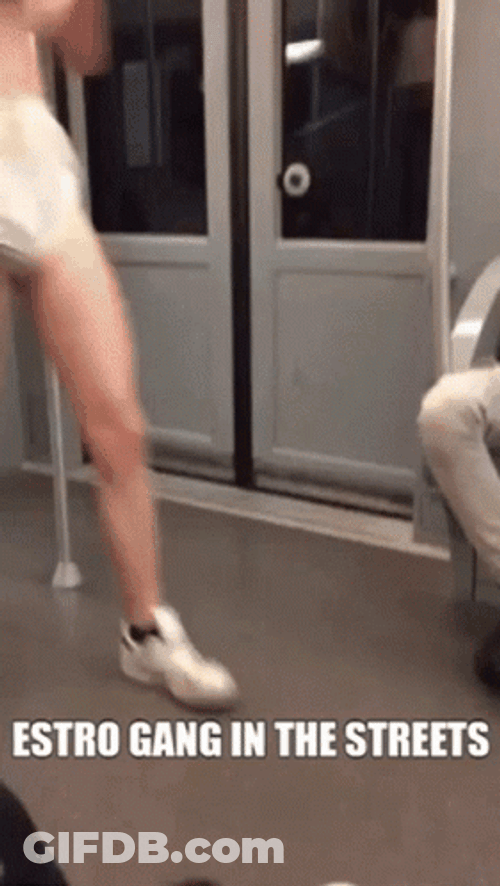 Cholo Gang In The Streets GIF