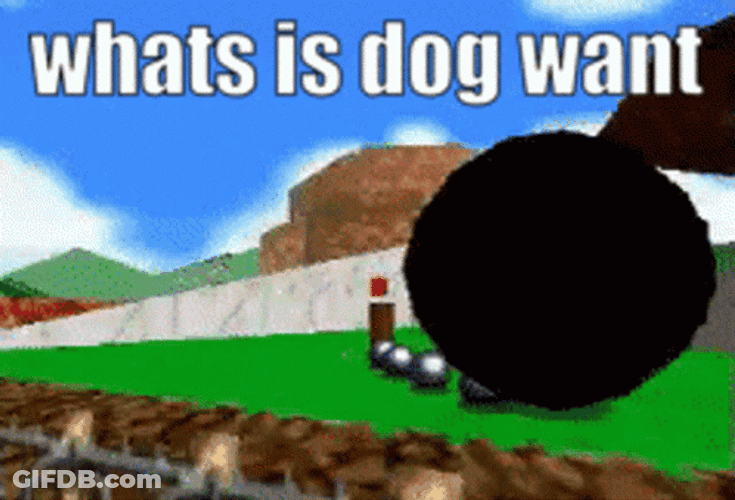 Chomp What Is Dog Want GIF