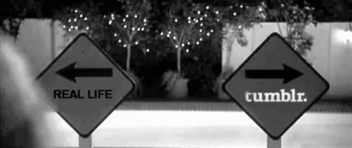 Choose Between Tumblr And Real Life GIF