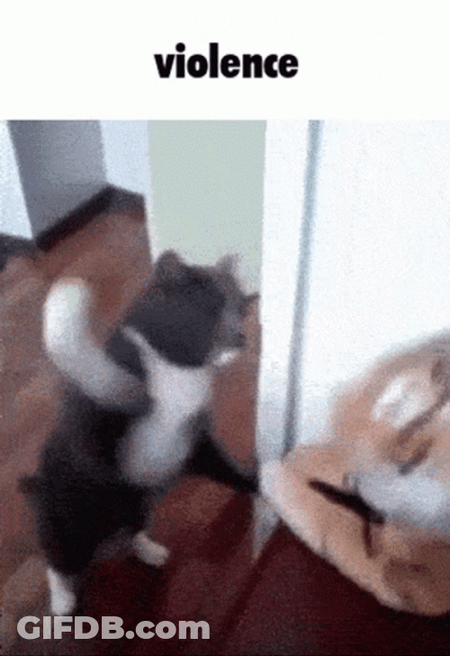 Choose Violence Cat Punching Toy GIF