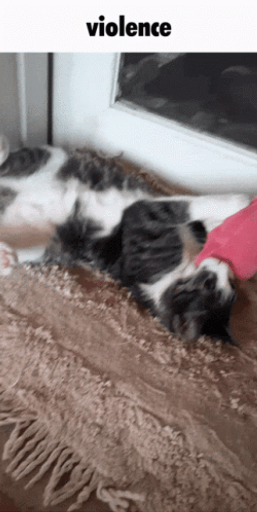 Choose Violence Cat Toy Play GIF