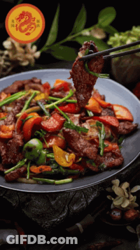 Chopsticks Holding Meat Over Plate Of Food GIF