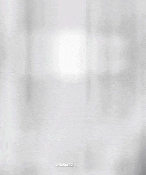 Choso Jujutsu Kaisen Black In White Eye Wink GIF