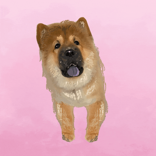 Chow Dog Swaying Head GIF