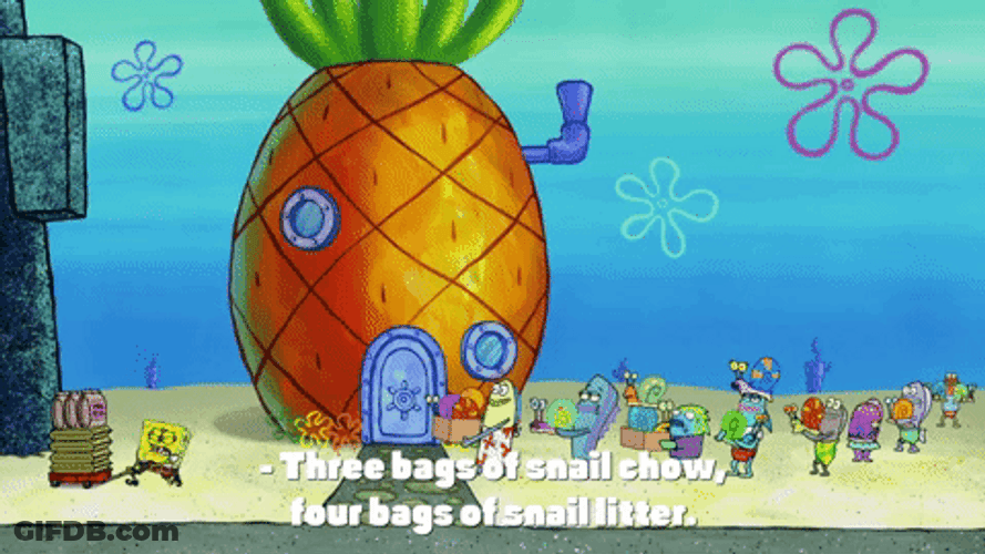 Chow Spongebob Squarepants GIF