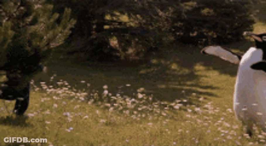 Chris Farley & A Penguin Mascot GIF