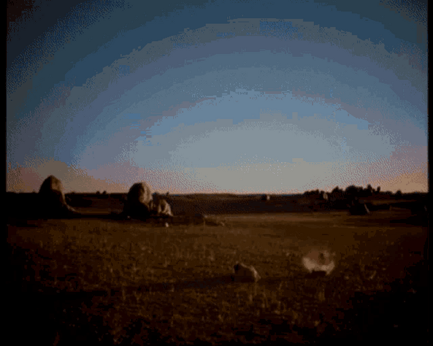 Christian Dior Fahrenheit GIF