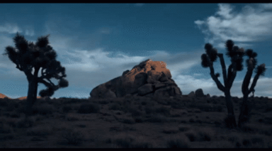Christian Dior Sauvage Ad Campaign GIF