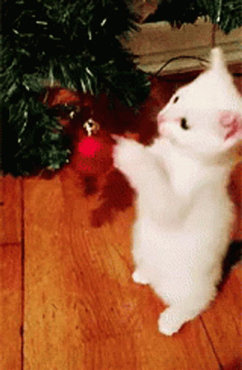 Christmas Ball Kitten Play GIF