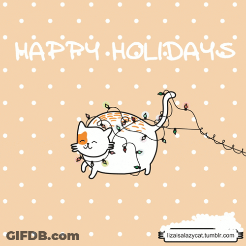 Christmas Cat Happy Holidays GIF