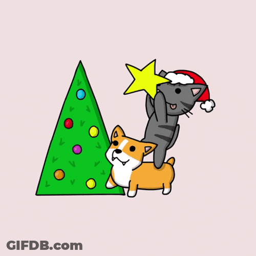Christmas Cat Putting Star GIF
