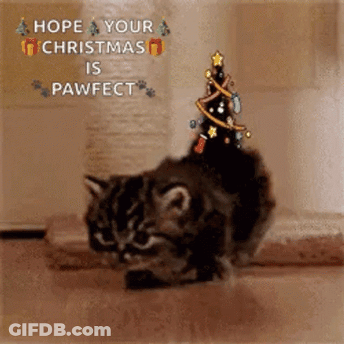 Christmas Cat Tail Tree GIF