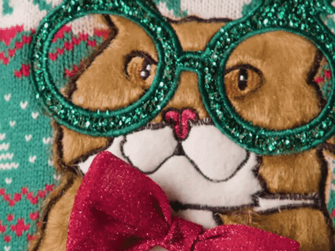 Christmas Cat With Green Glasses GIF
