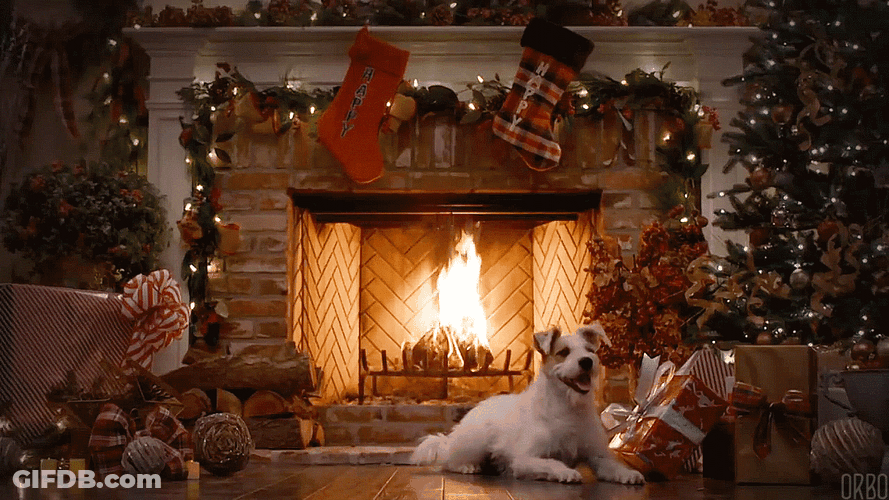 Christmas Dog Living Room Fireplace GIF