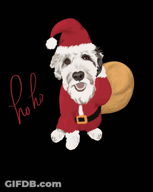 Christmas Dog Santa And Gifts GIF