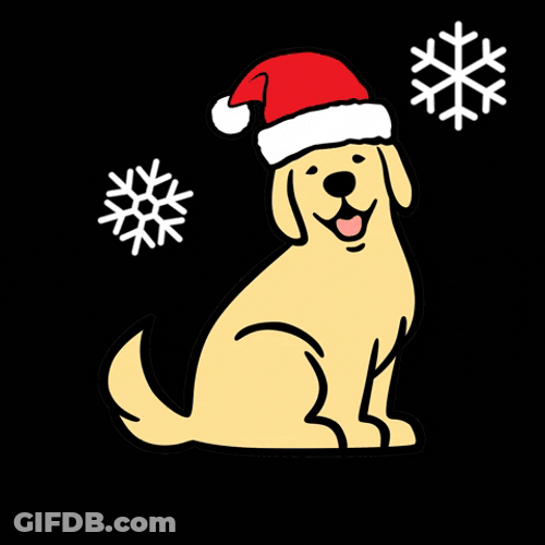 Christmas Dog Santa Golden Retriever GIF