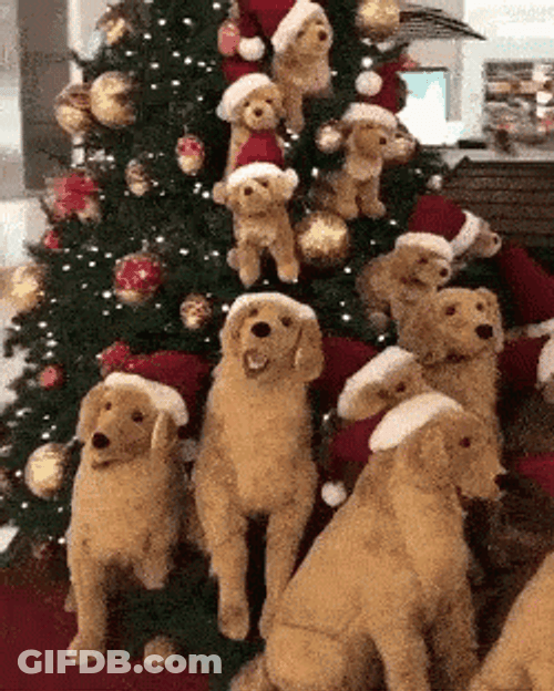 Christmas Dogs Golden Retriever Santa GIF