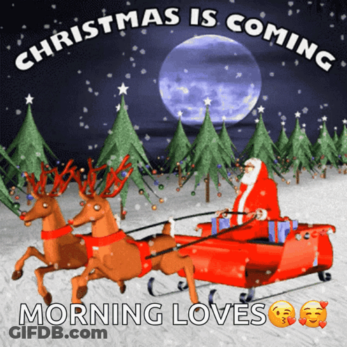 Christmas Is Coming Morning Loves With Santa In Sleigh Drawn By Reindeer GIF