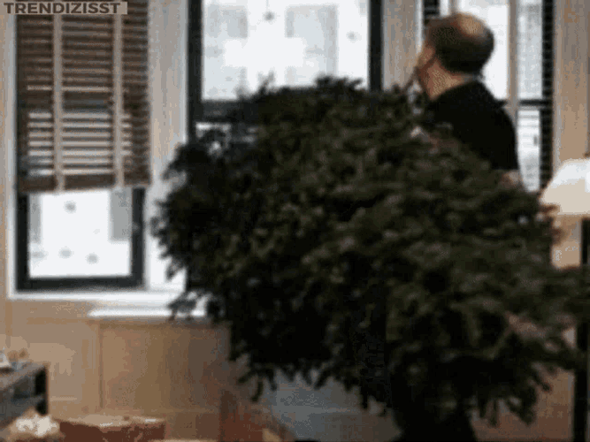 Christmas Is Over Christmas Tree GIF