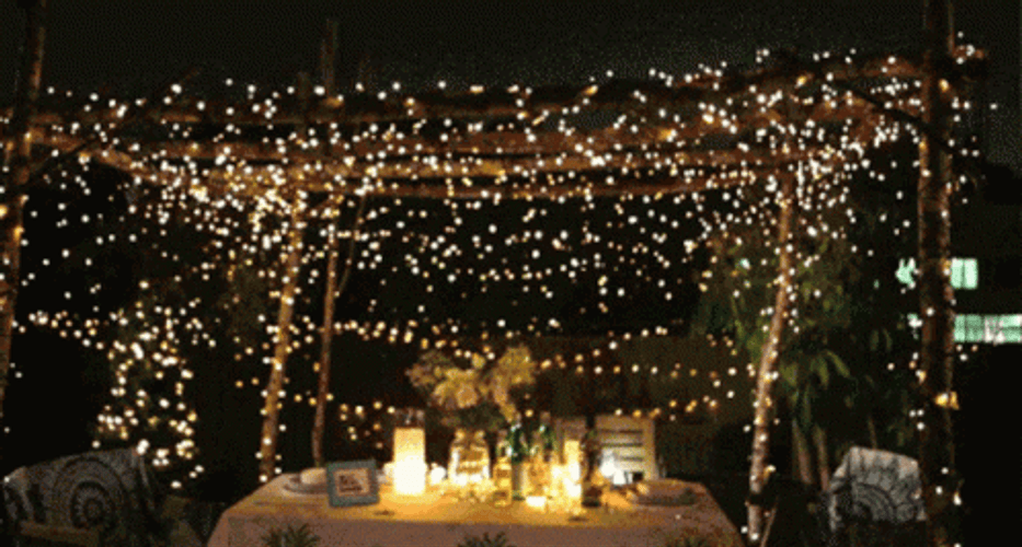 Christmas Lights Date Night GIF