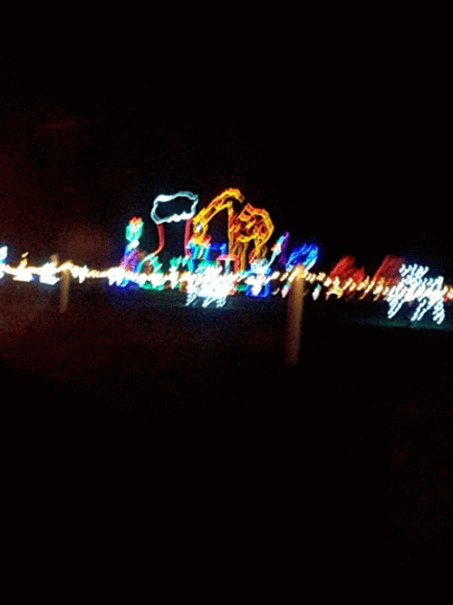 Christmas Lights Holiday Festival GIF