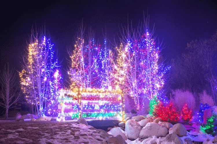 Christmas Lights Purple Winter GIF