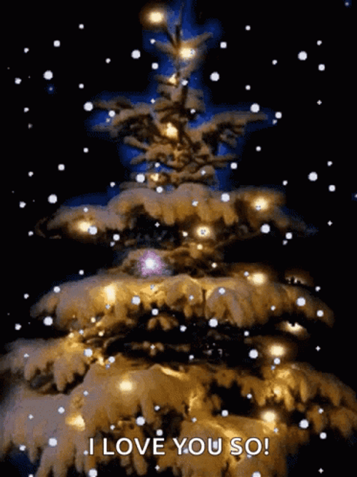 Christmas Lights Snow I Love You GIF
