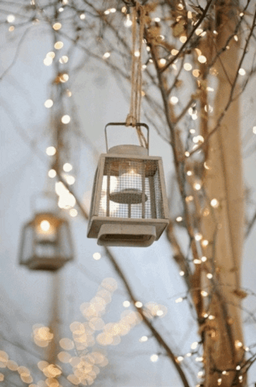 Christmas Lights Winter Tree GIF