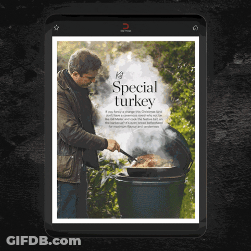 Christmas Magazine Food Cooking GIF