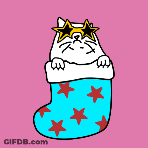 Christmas Present Cat With Star Glasses GIF