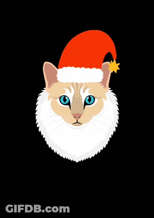 Christmas Santa Claus Cat GIF
