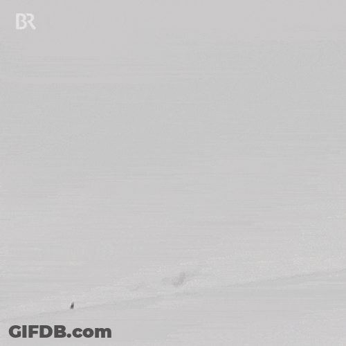 Christmas Santa Claus Skiing GIF